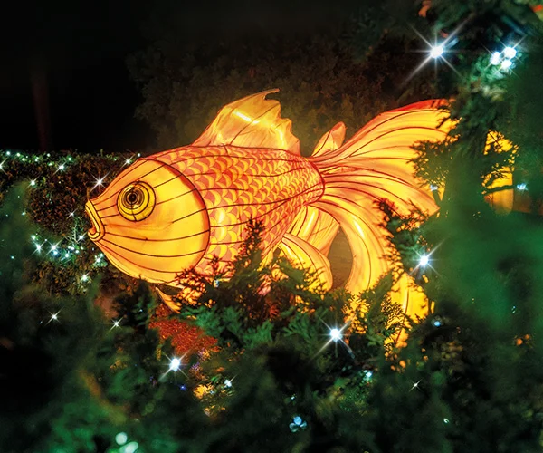Phantasialand Wintertraum-Tickets ab 29 EUR mit bis zu 60 % Ersparnis