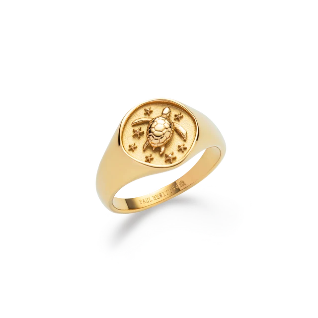 Turtle Signet Ring Gold