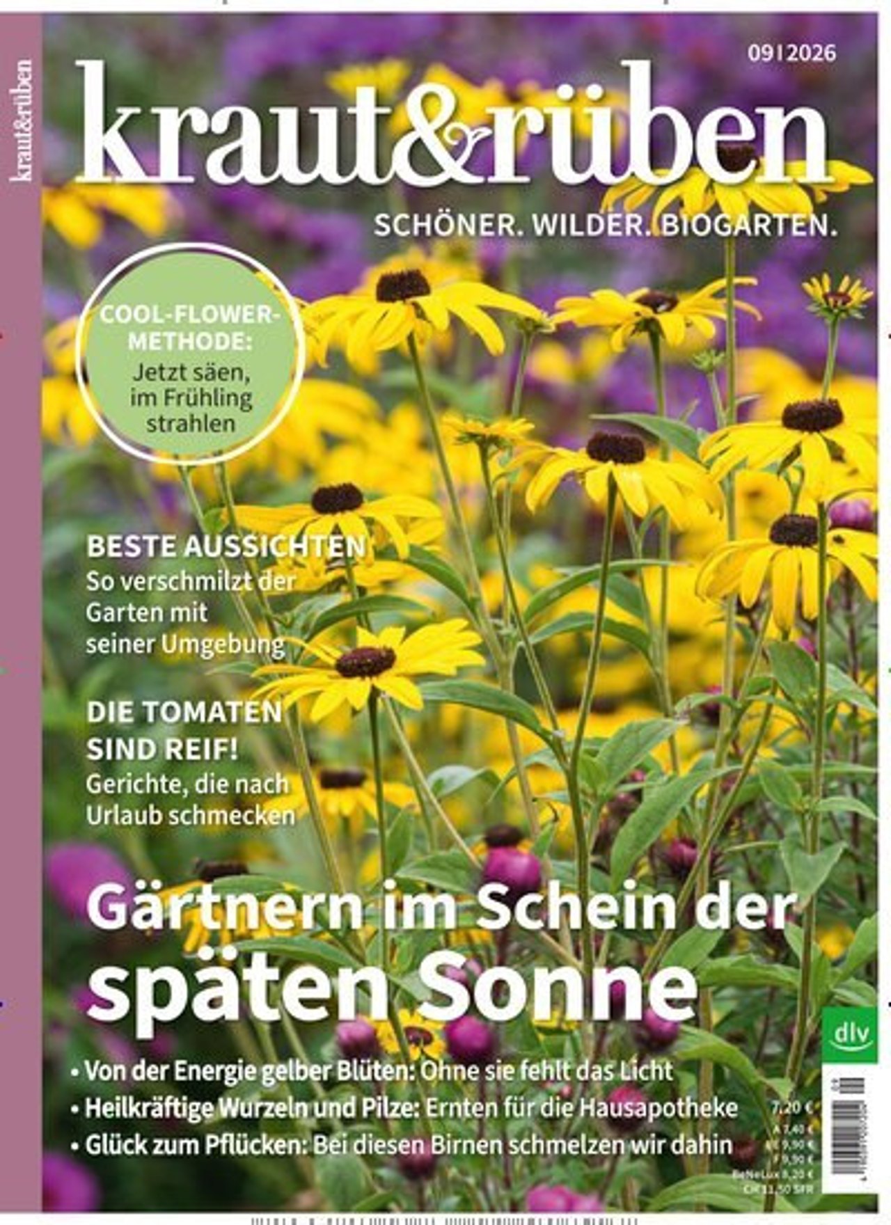 kraut&rüben Magazin, Beispielcover