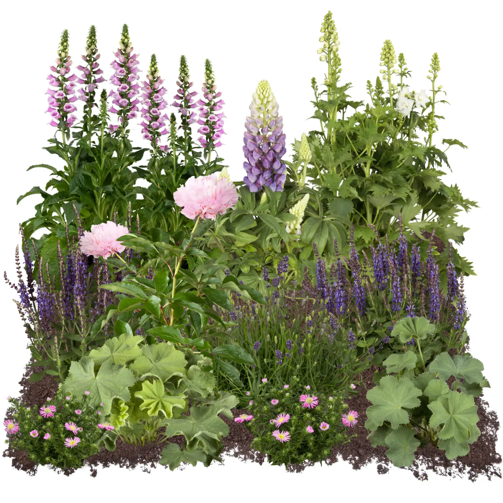 toom Bio Staudenset Bauerngarten约47,99 EUR，来自 Pflanzen-Sale